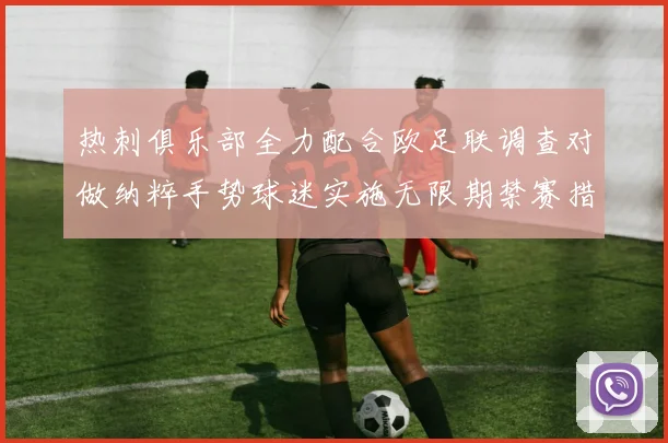热刺俱乐部全力配合欧足联调查对做纳粹手势球迷实施无限期禁赛措施